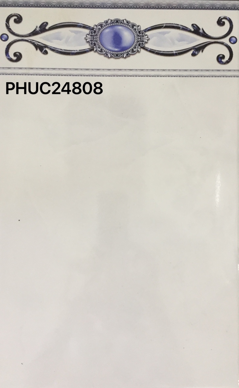 PHUC24808