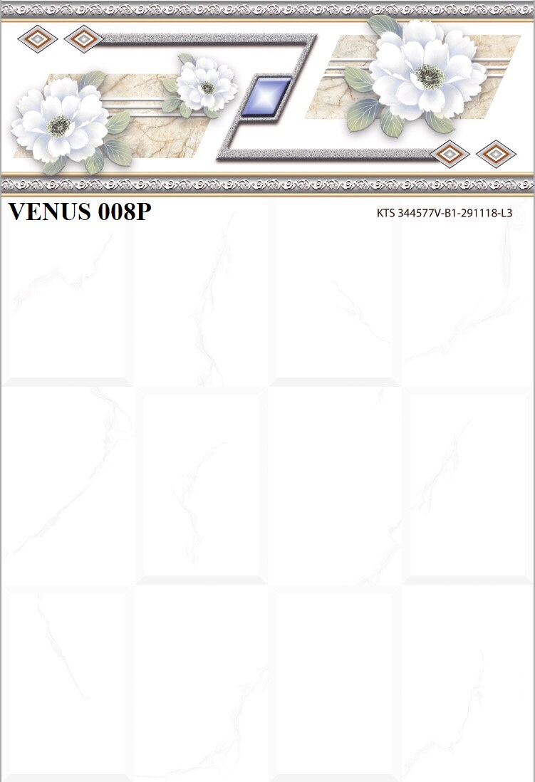 VENUS8008P