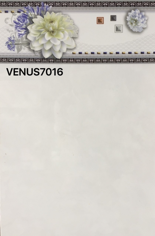 VENUS 7016