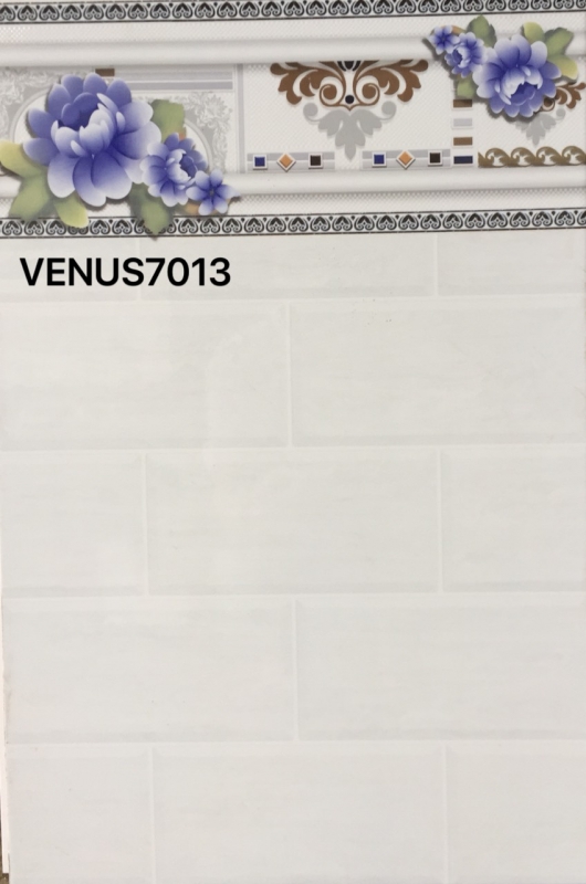 VENUS 7013