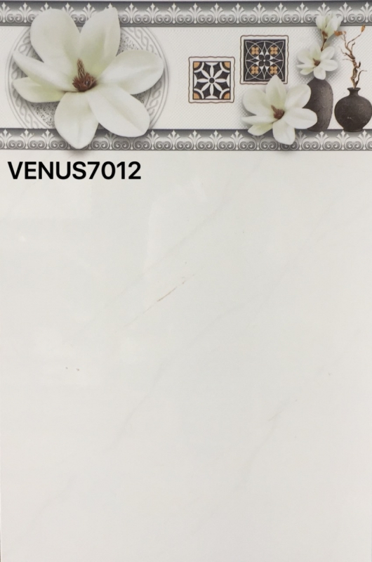 VENUS 7012