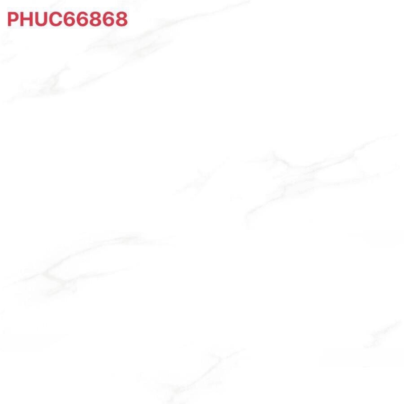 PHUC 66868