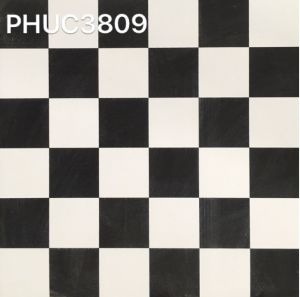 PHUC 3809