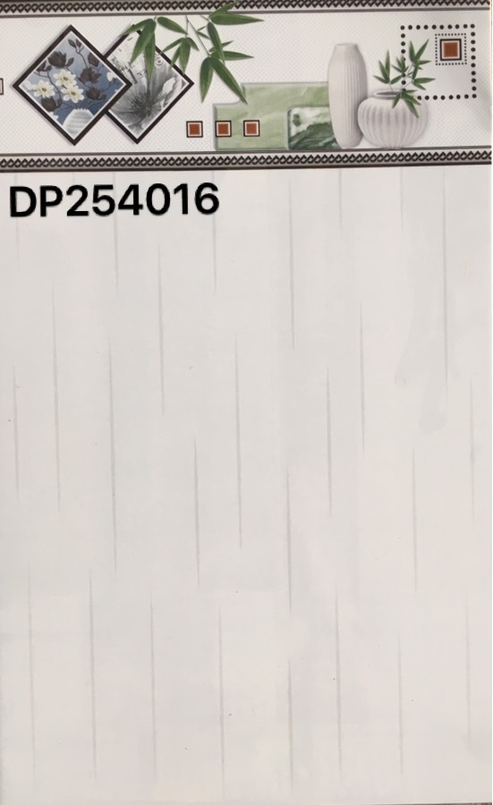 DP254016