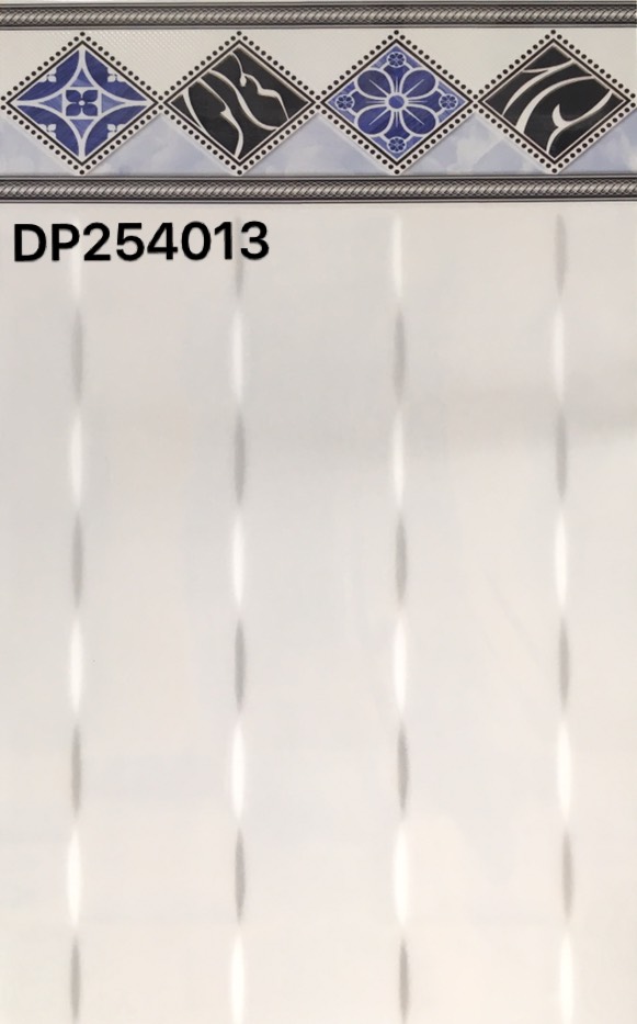 DP254013