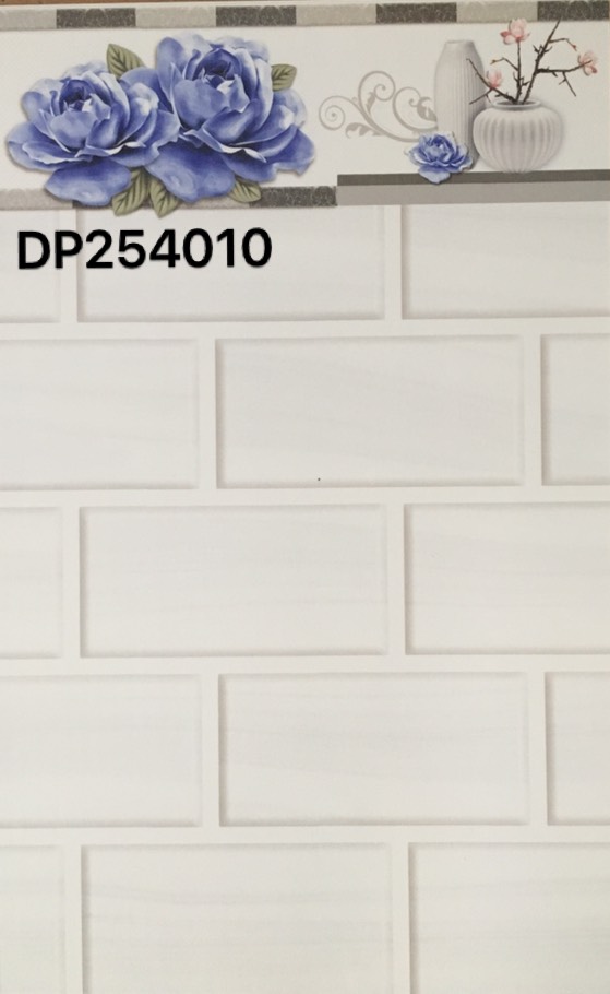 DP254010