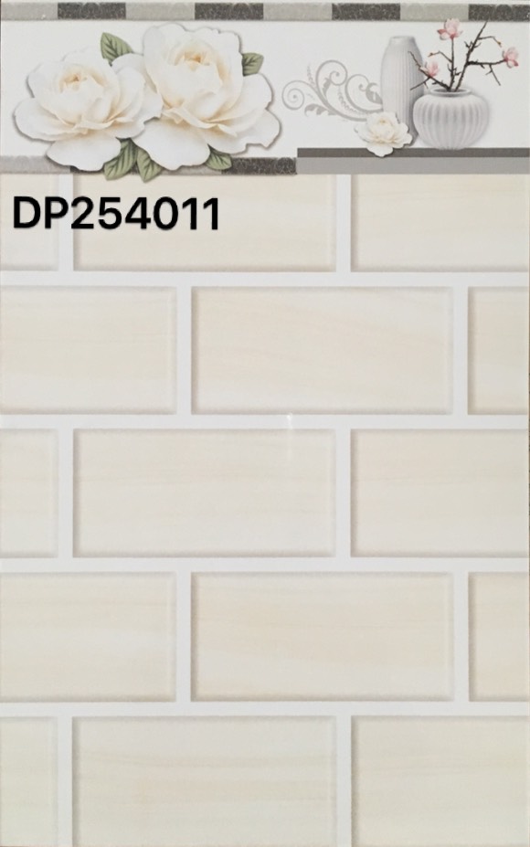 DP254011