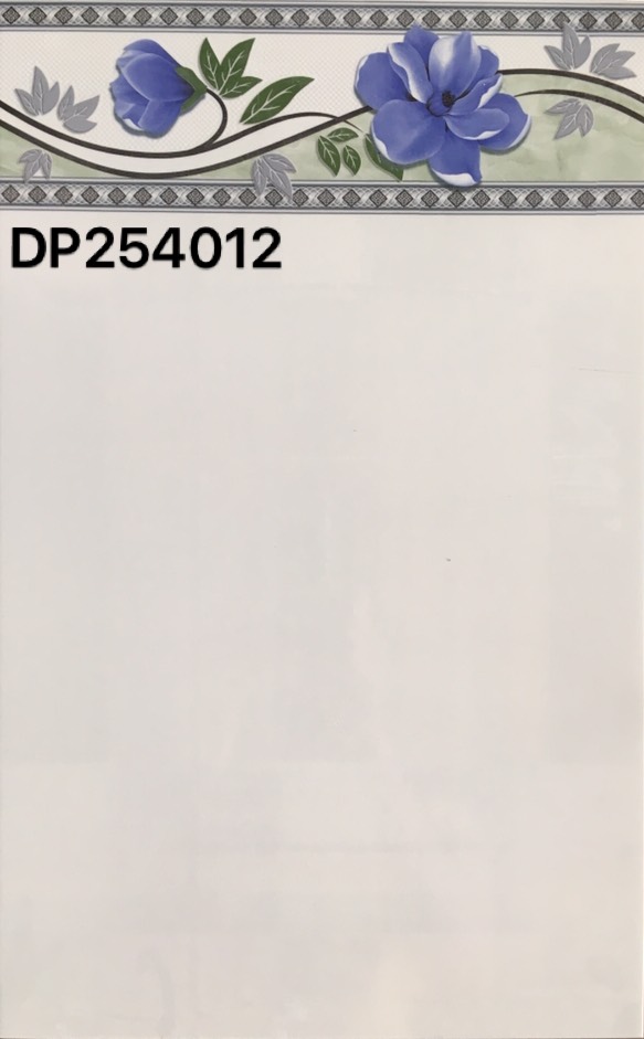 DP254012