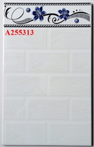 A255313