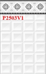 P2503V1
