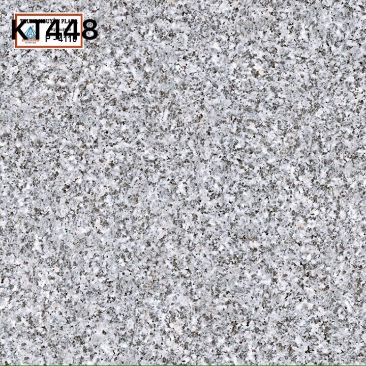 KT448